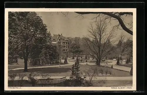 AK Freiberg i. Sa., König Albert-Park
