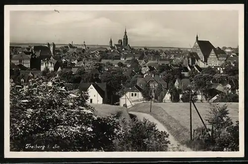 AK Freiberg / Sachsen, Ortsansicht mit Kirche
