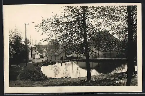 AK Dozice, Ortsansicht mit Teich