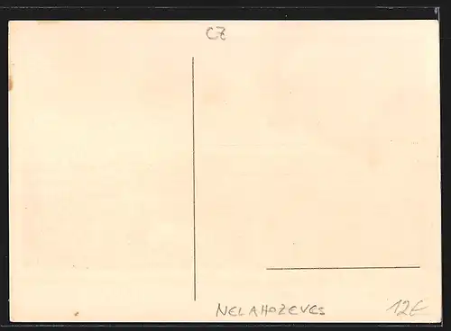 AK Nelahozeves, Velkonakupni Spolecnost Druzstev