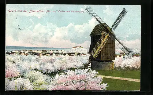 AK Werder a. H., Panorama mit Windmühle während der Baumblüte