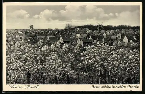 AK Werder a. H., Gesamtansicht