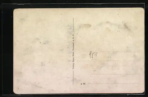 AK Wöllershof b. Neustadt W. N., Gesamtansicht