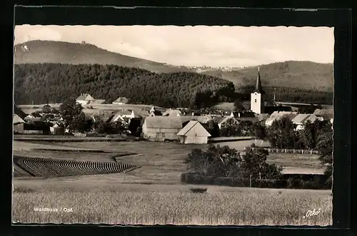 AK Waldhaus / Opf., Totale mit Kirche