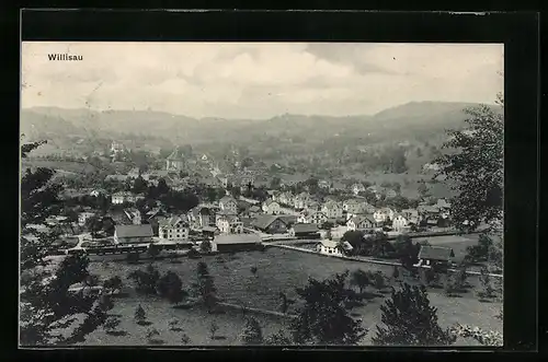 AK Willisau, Panoramablick vom Berg aus