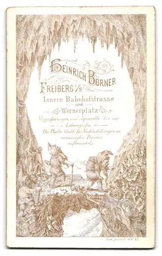 Fotografie Heinrich Börner, Freiberg i. S., Innere Bahnhofstr. und Wernerplatz, Junger Herr im Anzug mit Fliege