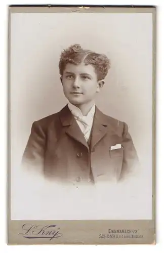 Fotografie L. Kny, Ebersbach i. S., Junger Mann im Anzug mit Krawatte