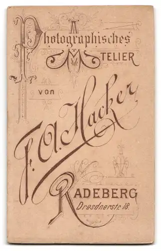 Fotografie F. A. Hacker, Radeberg, Dresdnerstr. 18, Junger Herr im Anzug mit Fliege