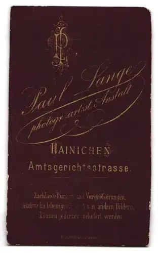 Fotografie Paul Lange, Hainichen, Amtsgerichtsstrasse, Bürgerlicher Herr mit Vollbart