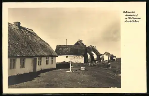 AK Neuendorf /Hiddensee, Häuser mit Strohdächern