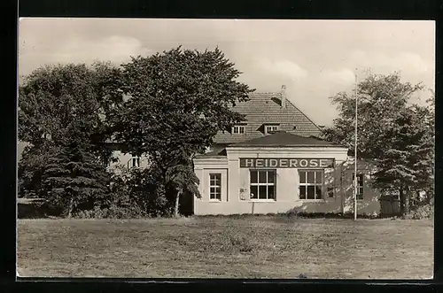 AK Vitte (Hiddensee), Ausflugslokal Heiderose