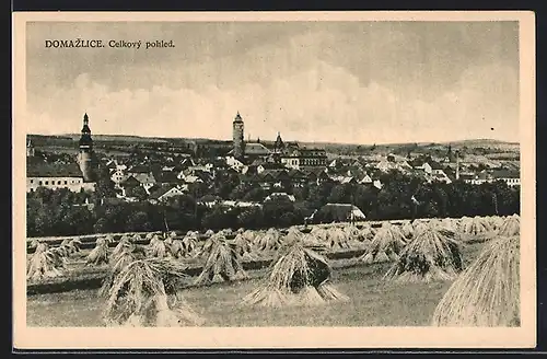 AK Domazlice, Celkový pohled