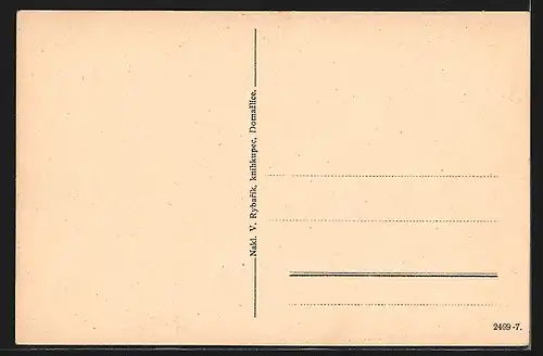 AK Domazlice, Celkový pohled