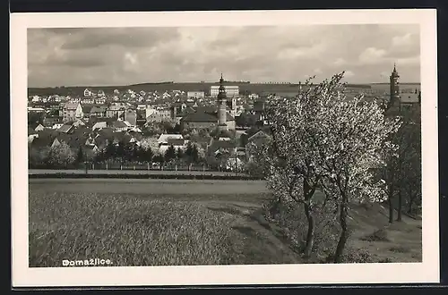 AK Domazlice, Ortsansicht von einem Feld aus