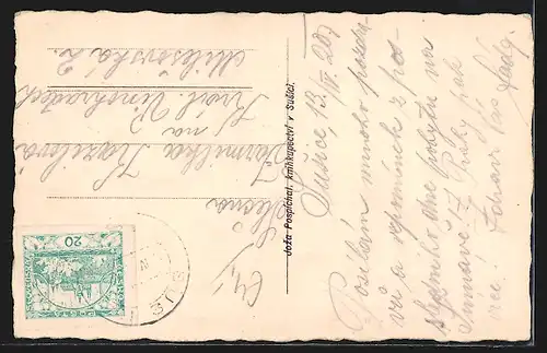 AK Susice na Sumave, Celkovy pohled