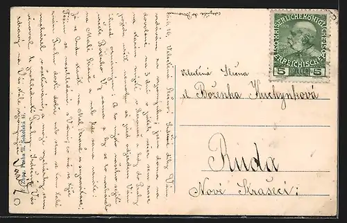 AK Horovice, Celkovy pohled