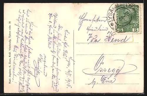 AK Lysa n. Labem, Celkovy pohled