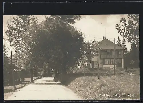 AK Bad Reiboldsgrün /Vgtl., Landstrasse mit Wohnhaus