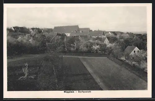 AK Rippien, Dorfansicht vom Feld aus
