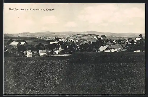 AK Reichenau bei Frauenstein, Teilansicht