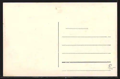 AK Reichenau bei Frauenstein, Teilansicht