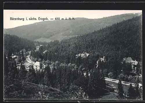 AK Bärenburg i. sächs. Erzgeb., Panorama