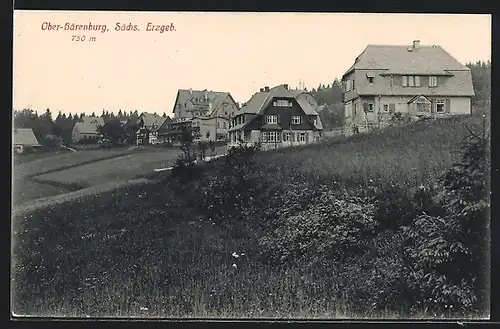 AK Oberbärenburg, Ortspartie mit Wohnhäusern