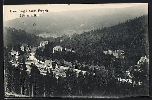 AK Bärenburg i. sächs. Erzgeb., Panorama