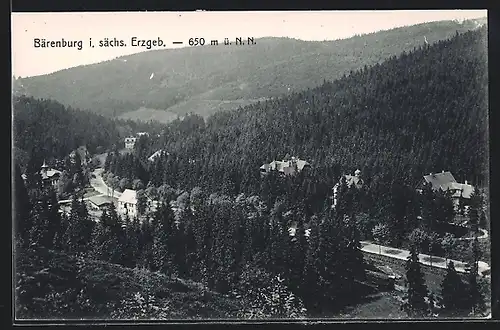 AK Bärenburg i. sächs. Erzgeb., Panorama