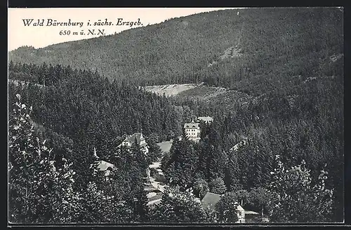 AK Wald-Bärenburg i. sächs. Erzgebirge, Panorama