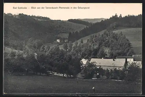 AK Bad Gottleuba, Blick von der Tannenbusch-Promenade in den Oelsengrund