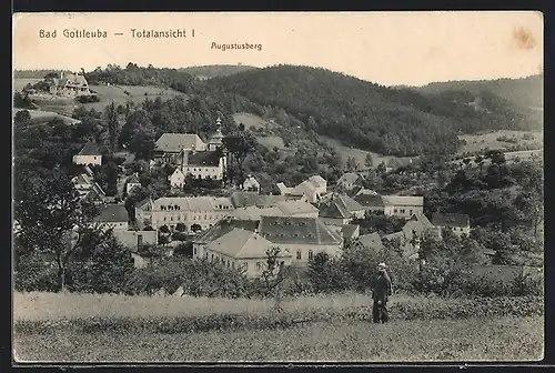 AK Bad Gottleuba, Ortsansicht mit Blick auf den Augustusberg