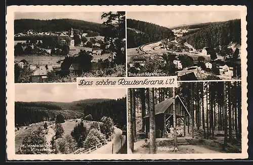 AK Rautenkranz i. V., Muldentalstrasse nach Wiltzschhaus, Waldquelle, Blick nach Jägersgrün