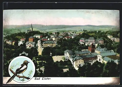 AK Bad Elster, Ortsansicht aus der Vogelschau, Elster