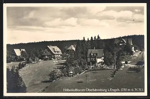 AK Oberbärenburg i. Erzgeb., Ortspartie