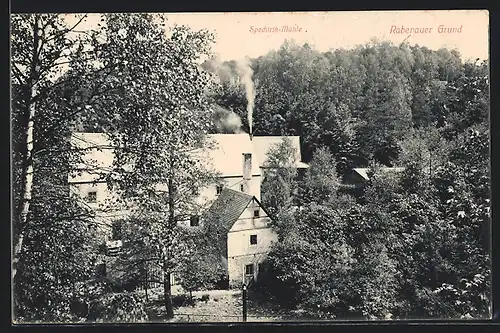 AK Rabenau / Sachsen, Gasthof Spechtritz-Mühle im Rabenauer Grund