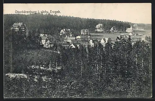 AK Oberbärenburg i. sächs. Erzgeb., Ortspartie