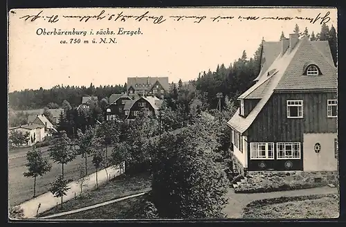 AK Oberbärenburg / Erzgeb., Teilansicht