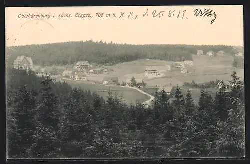 AK Oberbärenburg i. sächs. Erzgeb., Panorama