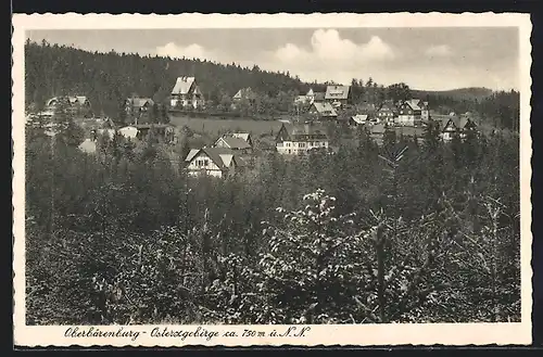 AK Oberbärenburg /Osterzgebirge, Ortspartie