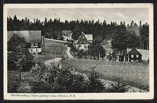 AK Oberbärenburg, Ortspartie