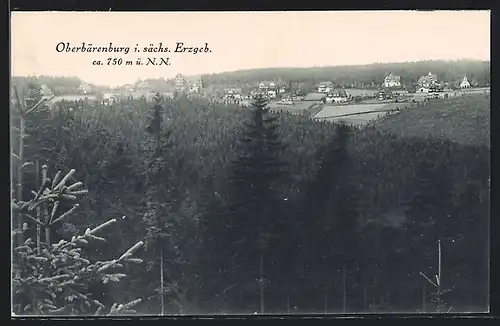 AK Oberbärenburg i. sächs. Erzgeb., Panorama