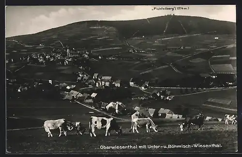 AK Oberwiesenthal, Teilansicht mit Unter- und Böhmisch-Wiesenthal