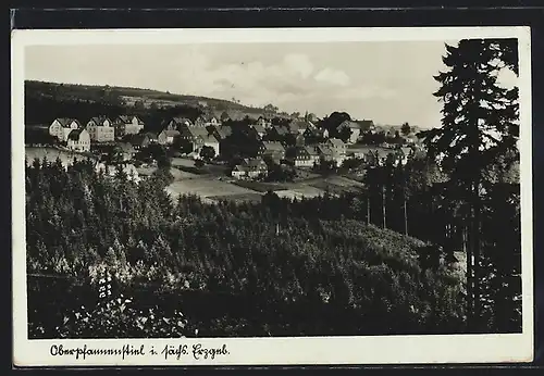 AK Oberpfannenstiel i. Erzgeb., Blick auf den Ort