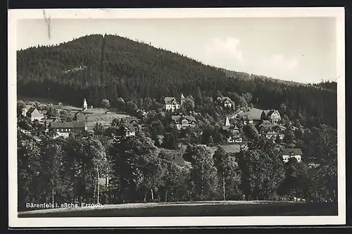 AK Bärenfels, Gesamtansicht vom Hügel aus