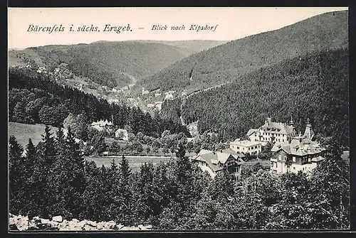 AK Bärenfels i. sächs. Erzgeb., Blick nach Kipsdorf