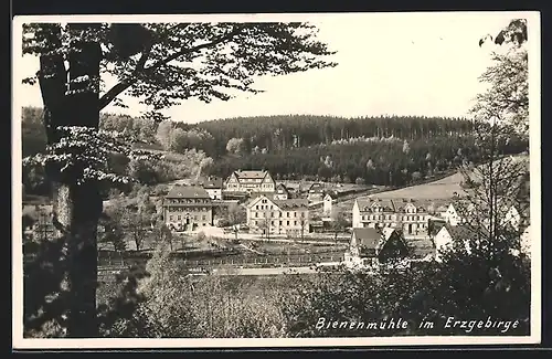 AK Bienenmühle, Ortsansicht mit Waldpartie