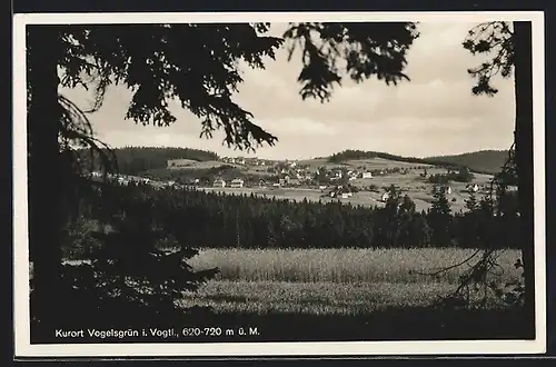 AK Vogelsgrün i. Vogtl., Ortsansicht hinter Feldern