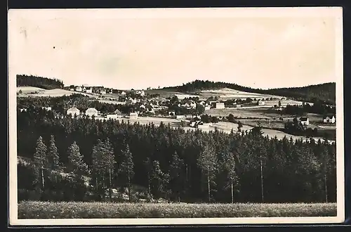 AK Vogelsgrün i. Vogtl., Ortsansicht hinter Tannen