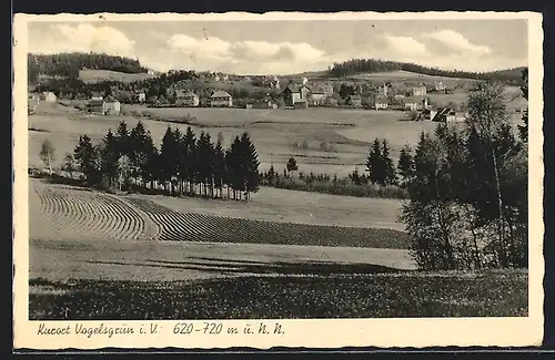 AK Vogelsgrün i. V., Totalansicht